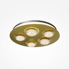 Потолочная люстра Maytoni Pharao MOD361CL-L58BS3K в Талице - talica.mebel24.online | фото