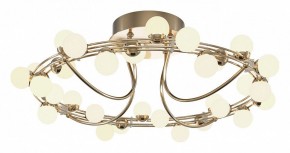 Потолочная люстра Maytoni Tessara MOD081CL-L36G3K в Талице - talica.mebel24.online | фото 2