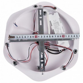 Потолочная люстра Natali Kovaltseva Damask HIGH-TECH LED LAMPS 82060 в Талице - talica.mebel24.online | фото 11
