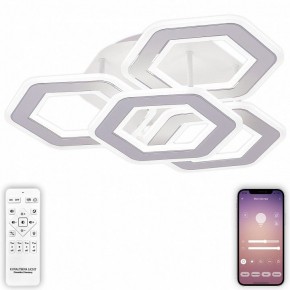 Потолочная люстра Natali Kovaltseva Damask HIGH-TECH LED LAMPS 82060 в Талице - talica.mebel24.online | фото 5