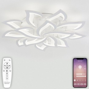 Потолочная люстра Natali Kovaltseva Olimp LED LAMPS 81335 в Талице - talica.mebel24.online | фото 4