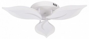 Потолочная люстра Natali Kovaltseva Sirius LED LAMPS 81164 в Талице - talica.mebel24.online | фото