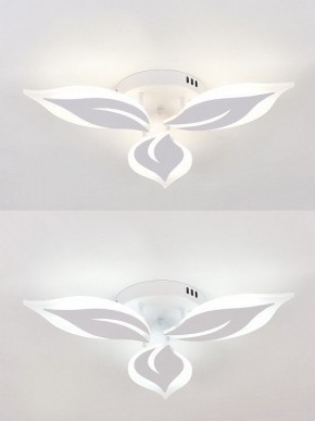 Потолочная люстра Natali Kovaltseva Sirius LED LAMPS 81164 в Талице - talica.mebel24.online | фото 6