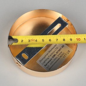 Потолочная люстра Omnilux Acuto OML-67007-06 в Талице - talica.mebel24.online | фото 8