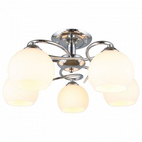 Потолочная люстра Omnilux Casoria OML-25107-05 в Талице - talica.mebel24.online | фото 2