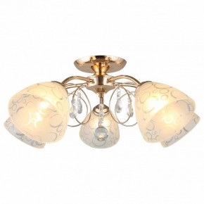 Потолочная люстра Omnilux Castellaro OML-29007-05 в Талице - talica.mebel24.online | фото 2