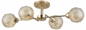 Потолочная люстра Rivoli Amalia Б0050815 в Талице - talica.mebel24.online | фото