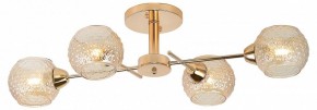 Потолочная люстра Rivoli Amalia Б0050815 в Талице - talica.mebel24.online | фото 2