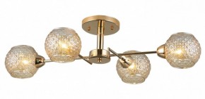 Потолочная люстра Rivoli Amalia Б0050815 в Талице - talica.mebel24.online | фото 3
