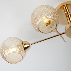 Потолочная люстра Rivoli Amalia Б0050815 в Талице - talica.mebel24.online | фото 8