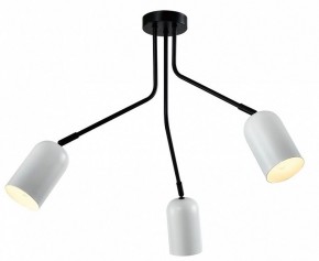 Потолочная люстра Rivoli Rosalinda Б0064987 в Талице - talica.mebel24.online | фото 2
