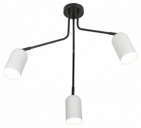 Потолочная люстра Rivoli Rosalinda Б0064987 в Талице - talica.mebel24.online | фото 4
