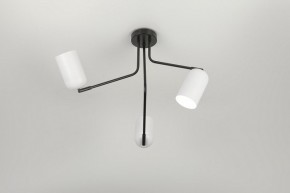 Потолочная люстра Rivoli Rosalinda Б0064987 в Талице - talica.mebel24.online | фото 7