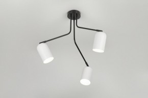 Потолочная люстра Rivoli Rosalinda Б0064987 в Талице - talica.mebel24.online | фото 8