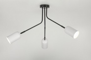 Потолочная люстра Rivoli Rosalinda Б0064987 в Талице - talica.mebel24.online | фото 9