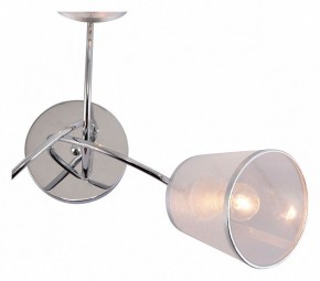 Потолочная люстра Rivoli Shirley Б0059981 в Талице - talica.mebel24.online | фото 4