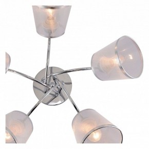 Потолочная люстра Rivoli Shirley Б0059982 в Талице - talica.mebel24.online | фото 5