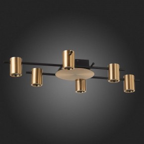 Потолочная люстра ST-Luce Veroli SL1207.402.06 в Талице - talica.mebel24.online | фото 4