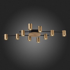 Потолочная люстра ST-Luce Veroli SL1207.402.10 в Талице - talica.mebel24.online | фото 6