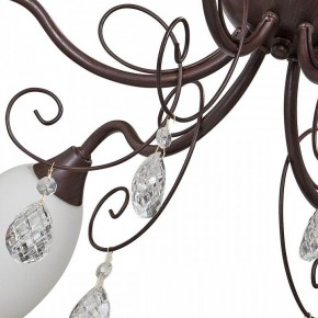 Потолочная люстра Vitaluce V1472 V1472/6PL в Талице - talica.mebel24.online | фото 3
