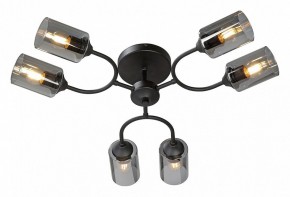 Потолочная люстра Vitaluce V2823 V2823-1/6PL в Талице - talica.mebel24.online | фото 2