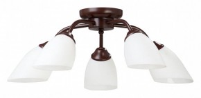 Потолочная люстра Vitaluce V3184 V3252/5PL в Талице - talica.mebel24.online | фото