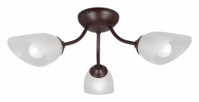 Потолочная люстра Vitaluce V3184 V3404/3PL в Талице - talica.mebel24.online | фото