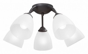 Потолочная люстра Vitaluce V3184 V3737-2/5PL в Талице - talica.mebel24.online | фото