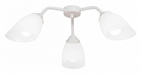 Потолочная люстра Vitaluce V31950 V31950/3PL в Талице - talica.mebel24.online | фото