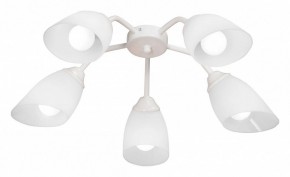 Потолочная люстра Vitaluce V31950 V31950/5PL в Талице - talica.mebel24.online | фото