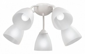 Потолочная люстра Vitaluce V3737 V3737-0/5PL в Талице - talica.mebel24.online | фото