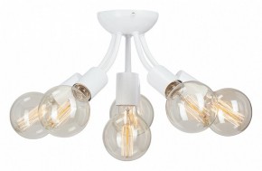 Потолочная люстра Vitaluce V3927 V3927-0/6PL в Талице - talica.mebel24.online | фото