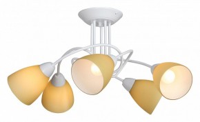 Потолочная люстра Vitaluce V3955 V3955-0/5PL в Талице - talica.mebel24.online | фото 2