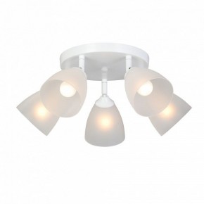 Потолочная люстра Vitaluce V4355 V4355-0/5PL в Талице - talica.mebel24.online | фото 2