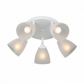 Потолочная люстра Vitaluce V4355 V4355-0/5PL в Талице - talica.mebel24.online | фото 3