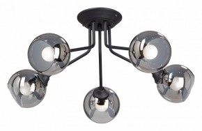 Потолочная люстра Vitaluce  V4724-1/5PL в Талице - talica.mebel24.online | фото