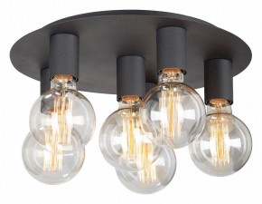 Потолочная люстра Vitaluce  V4969-1/6PL в Талице - talica.mebel24.online | фото