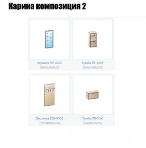 Прихожая Карина (модульная) в Талице - talica.mebel24.online | фото 6