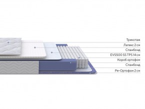 PROxSON Матрас Active Duo S/F (Ткань Трикотаж Эко) 180x190 в Талице - talica.mebel24.online | фото 2