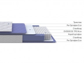 PROxSON Матрас Active F (Ткань Трикотаж Эко) 160x190 в Талице - talica.mebel24.online | фото 2