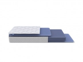 PROxSON Матрас Active Flex M (Ткань Трикотаж Эко) 160x195 в Талице - talica.mebel24.online | фото 1