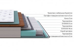 PROxSON Матрас Elysium Firm (Трикотаж Spiral-RT) 120x200 в Талице - talica.mebel24.online | фото 2