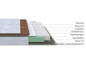 PROxSON Матрас Green Duo M/F (Tricotage Dream) 140x195 в Талице - talica.mebel24.online | фото 2