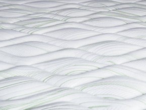 PROxSON Матрас Green F (Tricotage Dream) 80x200 в Талице - talica.mebel24.online | фото 8
