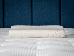 PROxSON Подушка Кроха (Ткань Трикотаж) 39x24 в Талице - talica.mebel24.online | фото 6