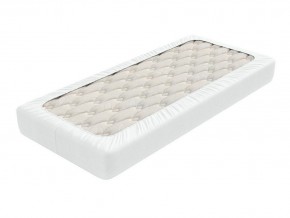 PROxSON Защитный чехол Aqua Save Light S (Ткань влагостойкая Tencel Jersey) 120x190 в Талице - talica.mebel24.online | фото 1