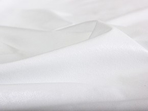 PROxSON Защитный чехол Aqua Save Light Top (Ткань влагостойкая Tencel Jersey) 160x200 в Талице - talica.mebel24.online | фото 5