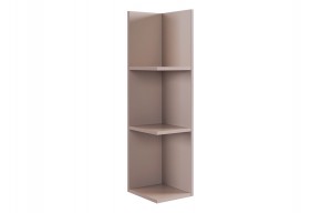 РИЧ Полка навесная 2 (кашемир) в Талице - talica.mebel24.online | фото 4