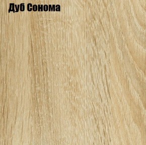 ЧЕЛСИ Шкаф 2-х створчатый (2УПК) комбинированный в Талице - talica.mebel24.online | фото 4