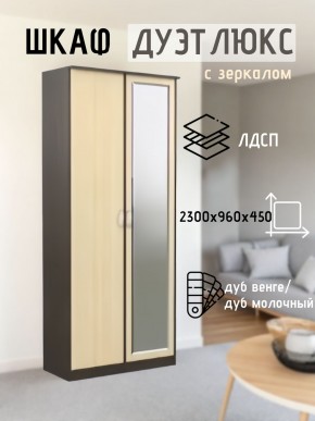 Шкаф 2-х створчатый Дуэт Люкс с зеркалом в Талице - talica.mebel24.online | фото